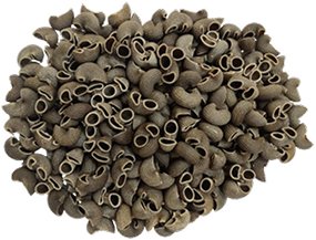 Hemp Flour Pasta