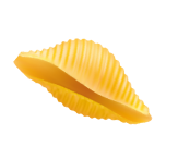 Shell Pasta